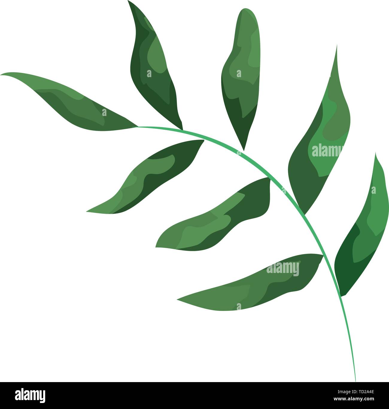 branch with leafs plants icon Stock Vector Image & Art - Alamy