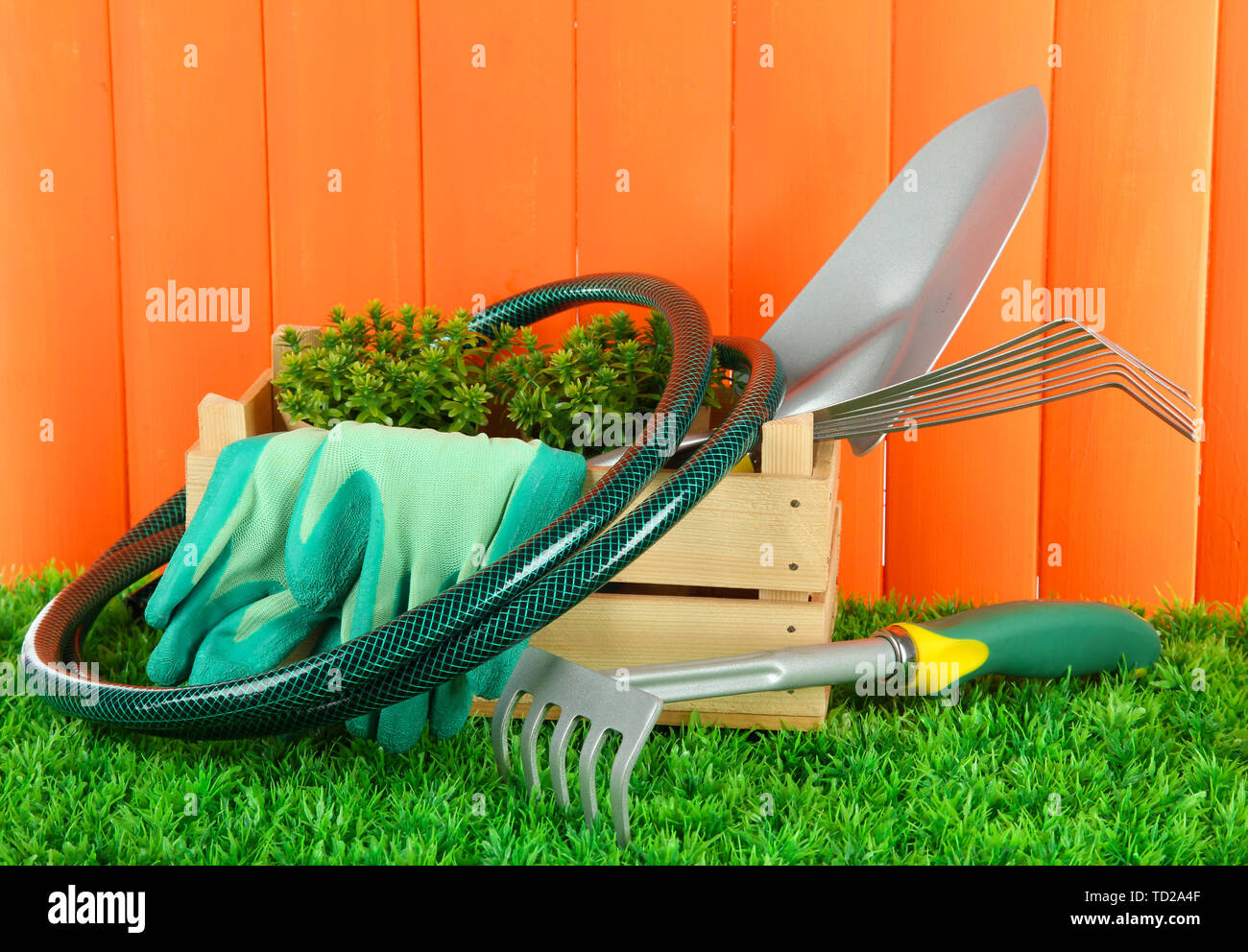 Garden tools on grass in yard Stock Photo - Alamy
