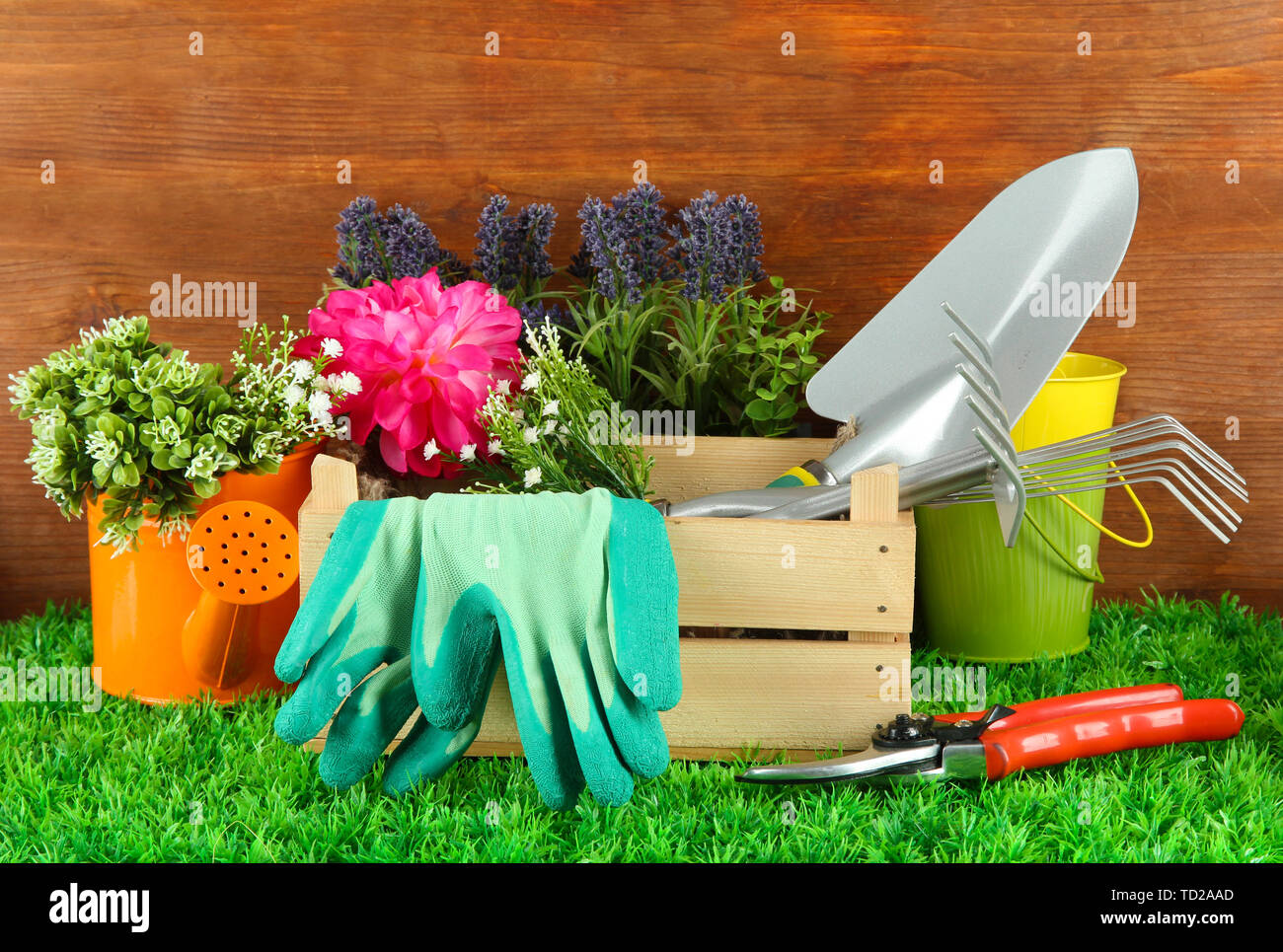 Garden tools on grass in yard Stock Photo - Alamy