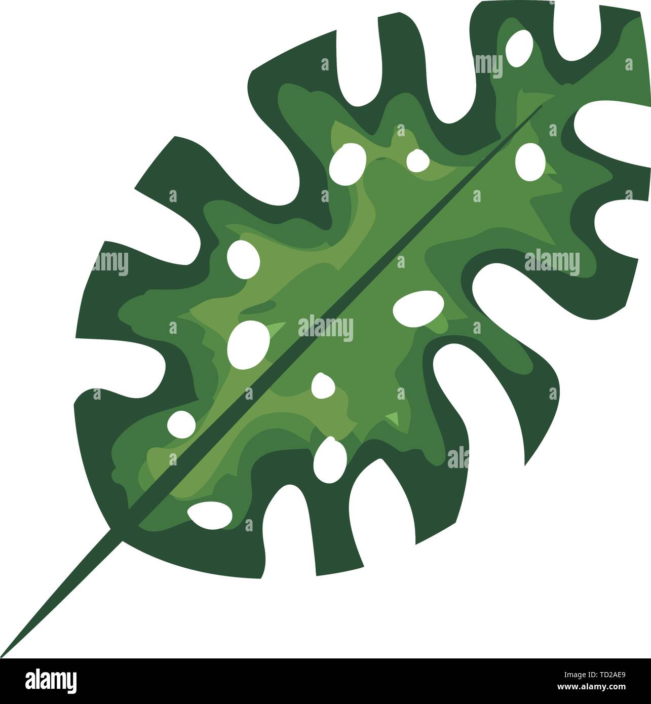 exotic and tropical leaf plant Stock Vector Image & Art - Alamy