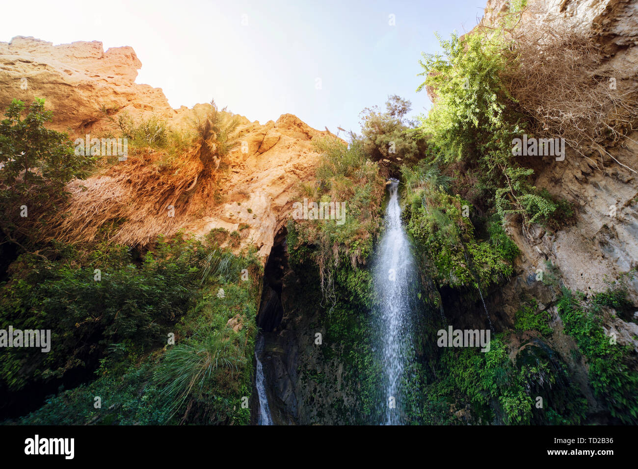 Close uup of Great Falls Shulamit falling from the top of a mountain with green trees and bushes. Ein Gedi - Nature Reserve and National Park, Israel Stock Photo