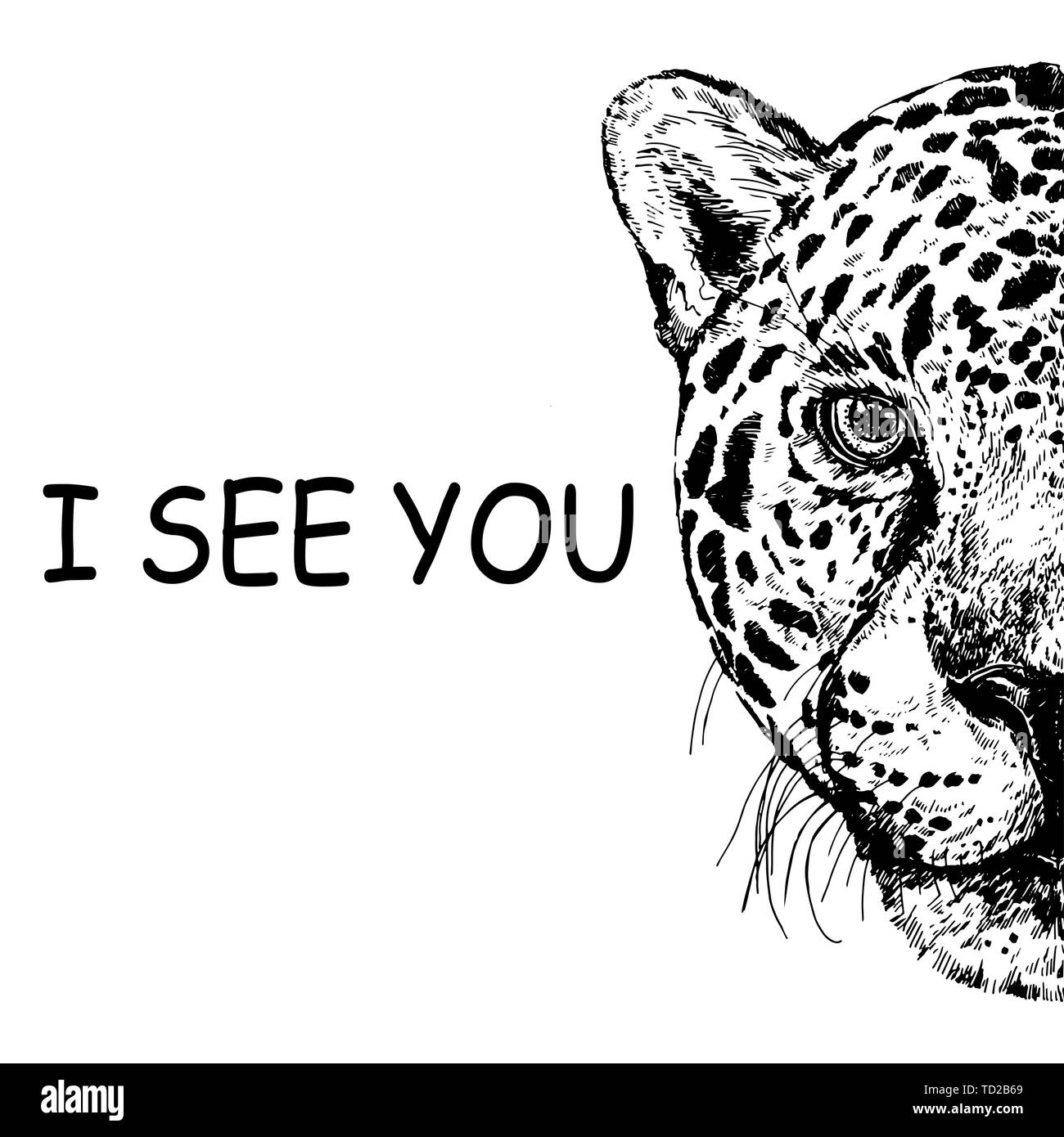Hand drawn sketch style portrait of leopard isolated on white ...