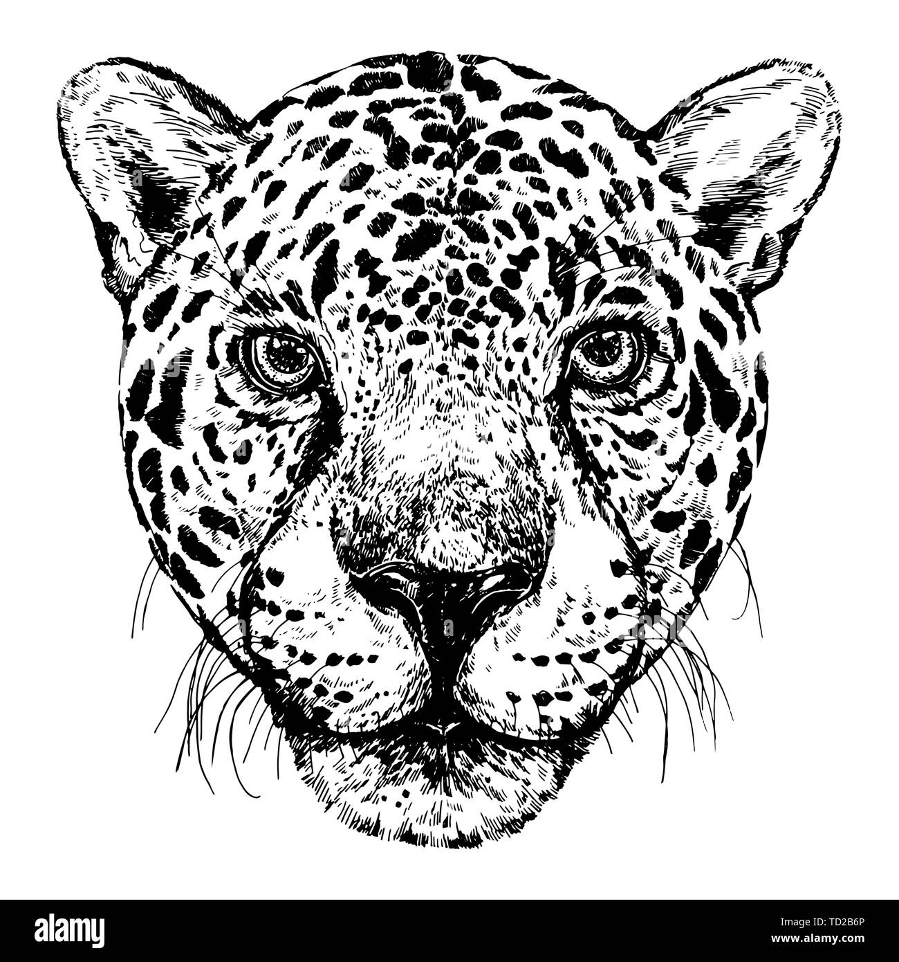 Black Leopard Print Images – Browse 85,343 Stock Photos, Vectors