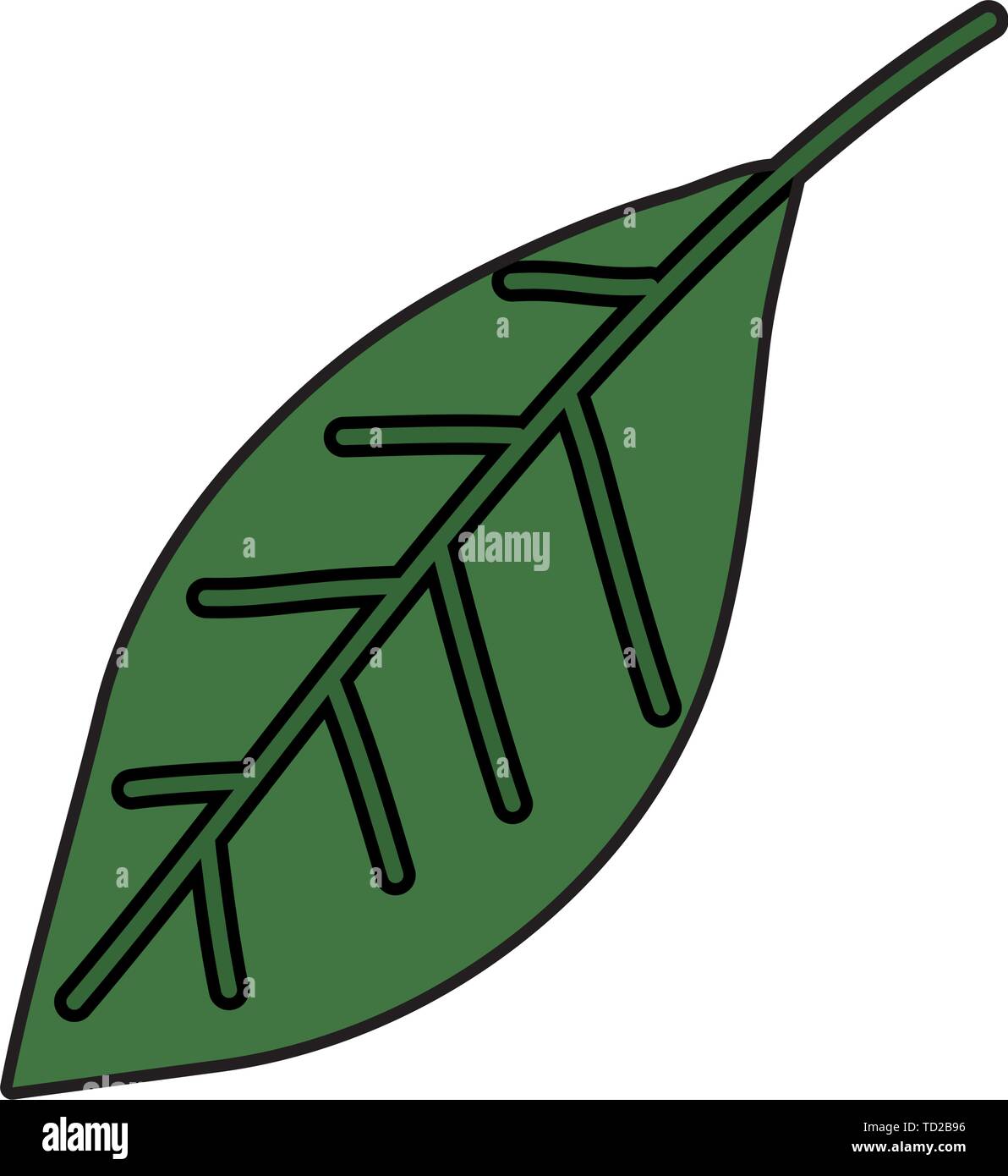ecology leaf plant nature icon Stock Vector Image & Art - Alamy