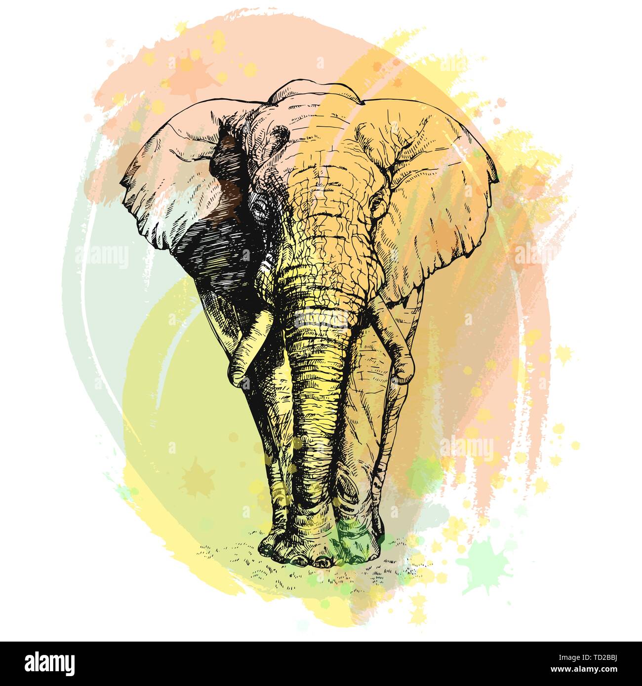 Hand drawn sketch style elephant isolated on white background. Vector