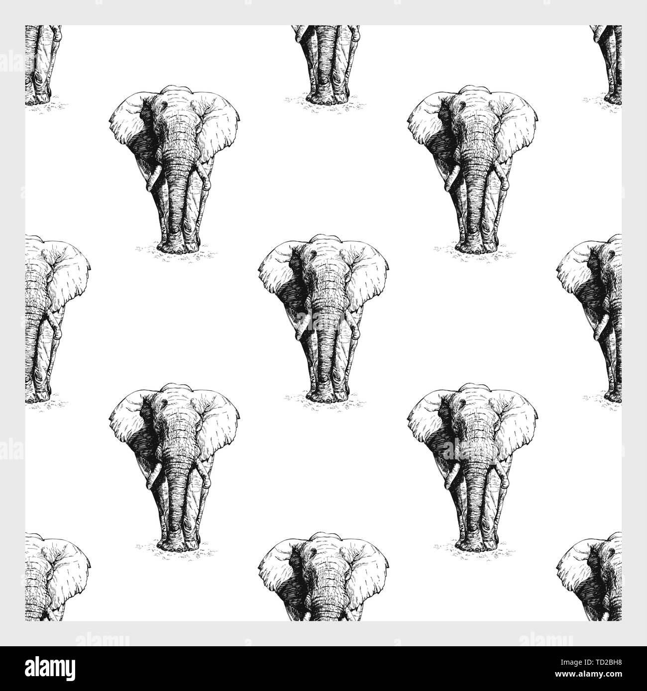 Seamless pattern of hand drawn sketch style elephant isolated on white ...