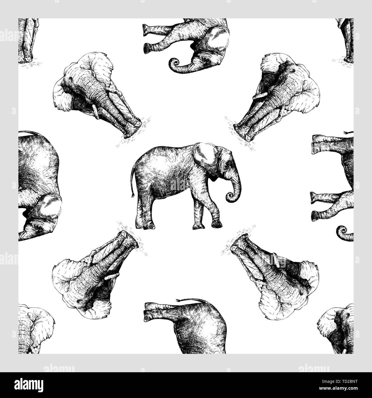 Seamless pattern of hand drawn sketch style elephant isolated on white ...