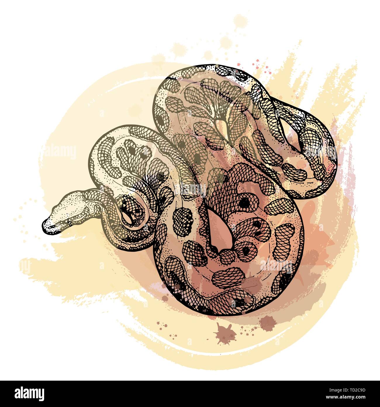 Hand drawn sketch style python isolated on white background. Vector ...
