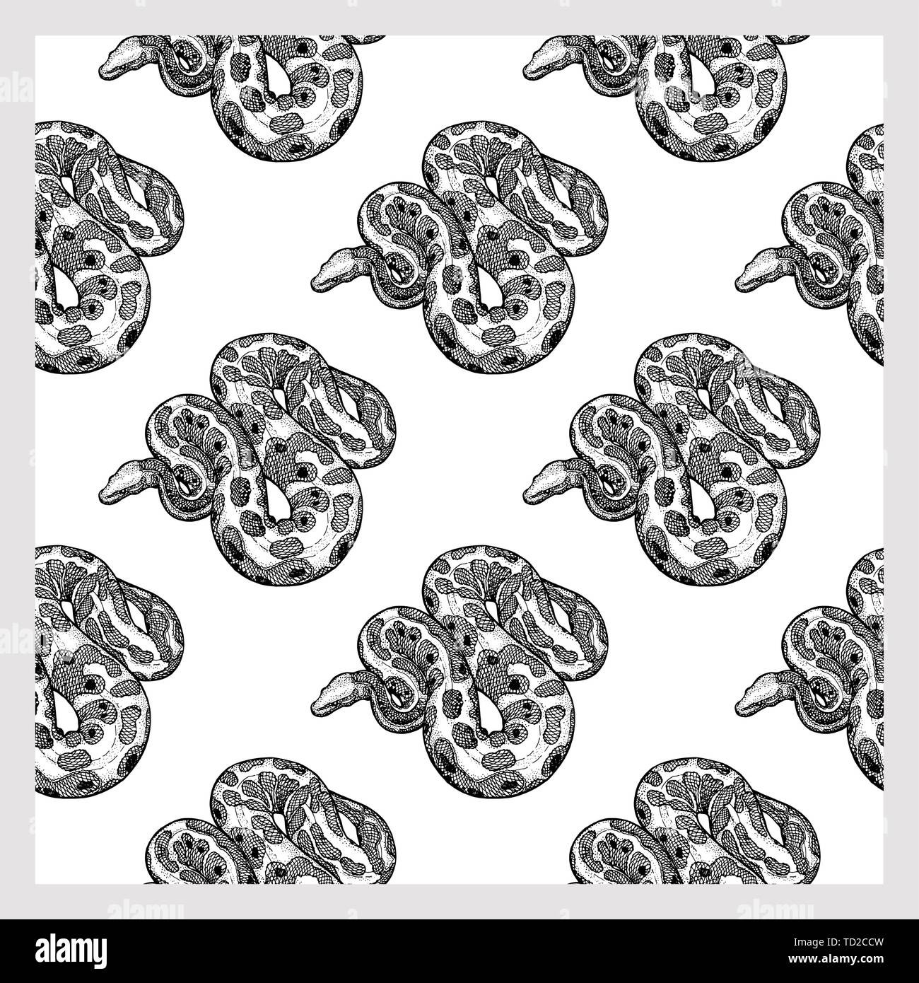 Seamless pattern of hand drawn sketch style pythons isolated on white ...