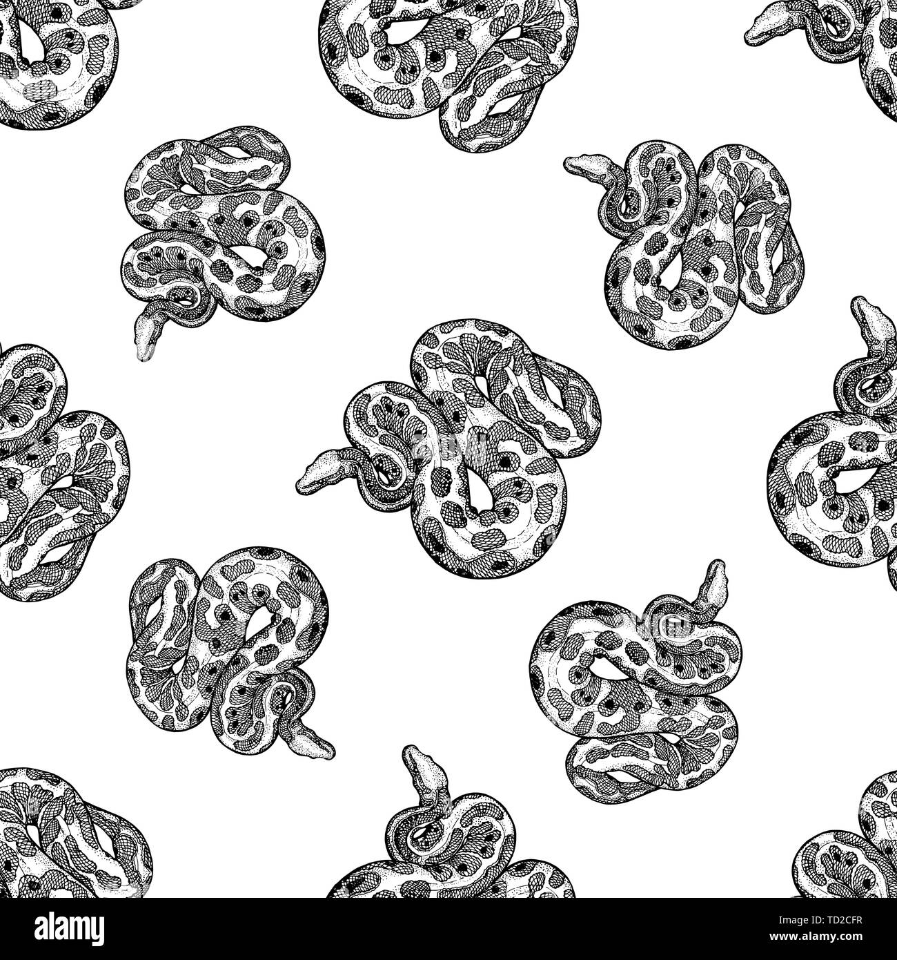 Seamless pattern of hand drawn sketch style pythons isolated on white ...