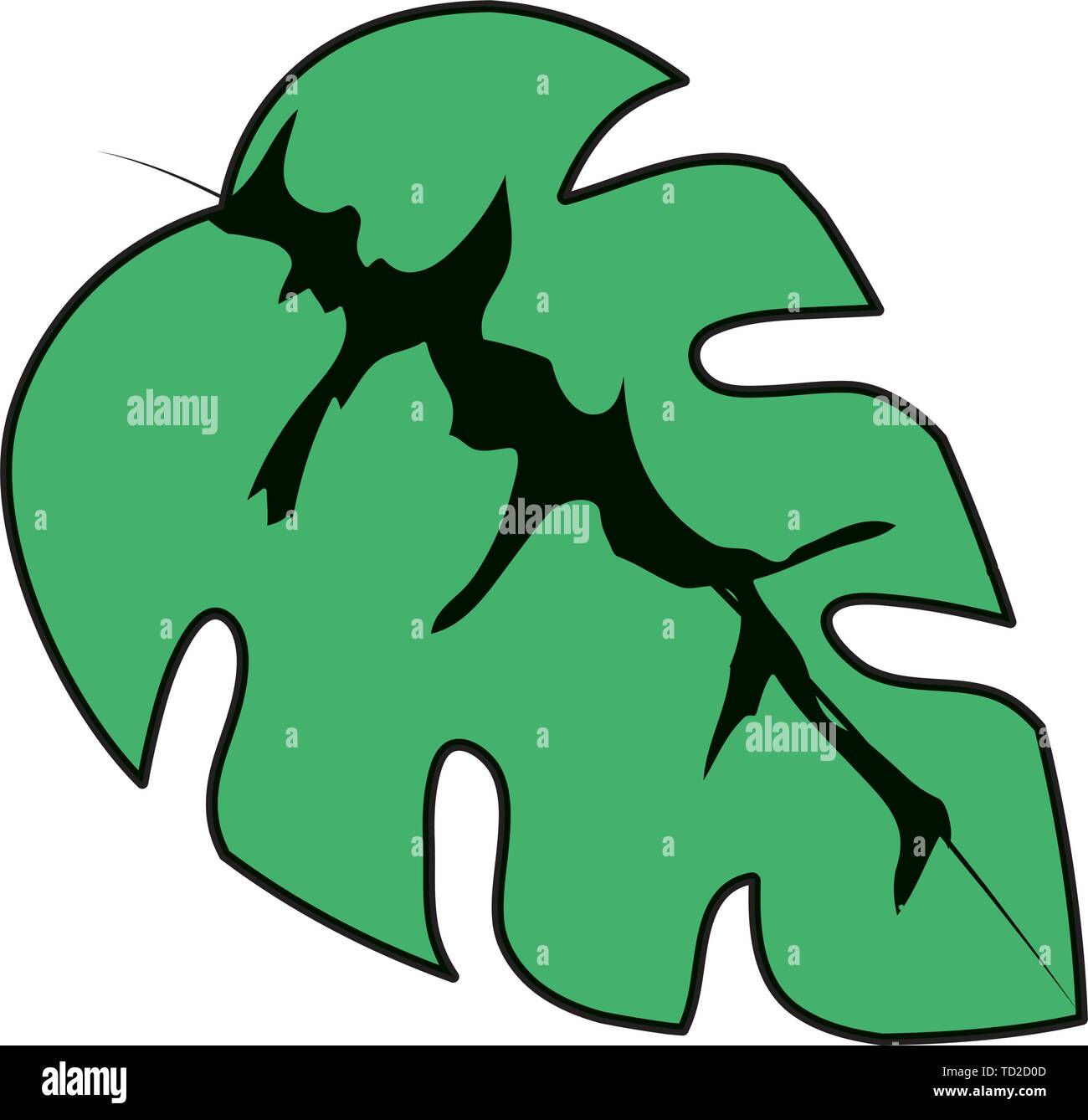 exotic and tropical leaf plant Stock Vector Image & Art - Alamy