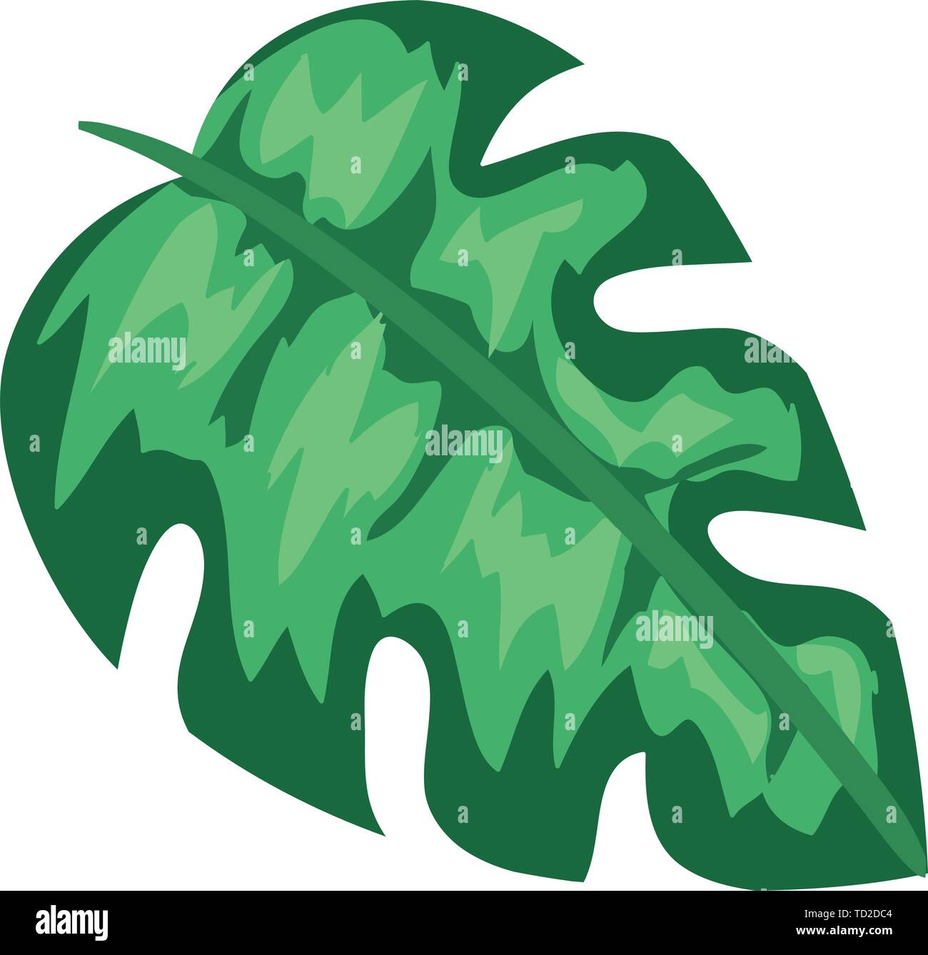 exotic and tropical leaf plant Stock Vector Image & Art - Alamy