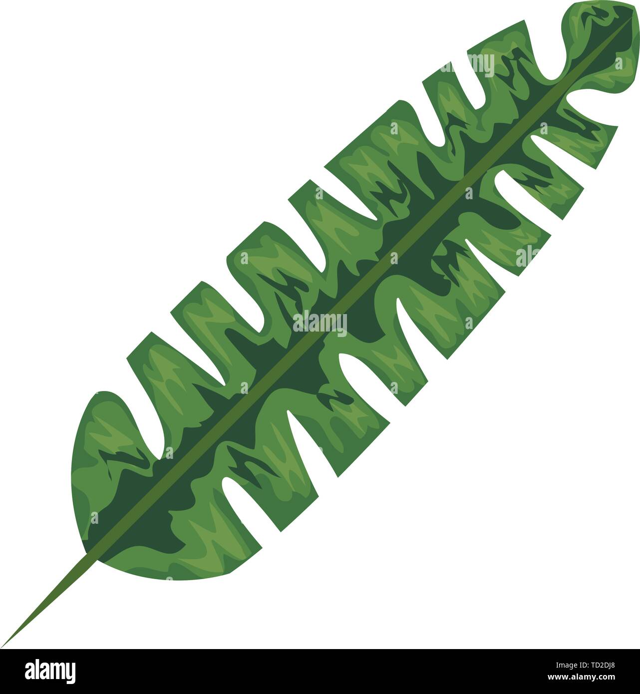 exotic and tropical leaf plant Stock Vector Image & Art - Alamy