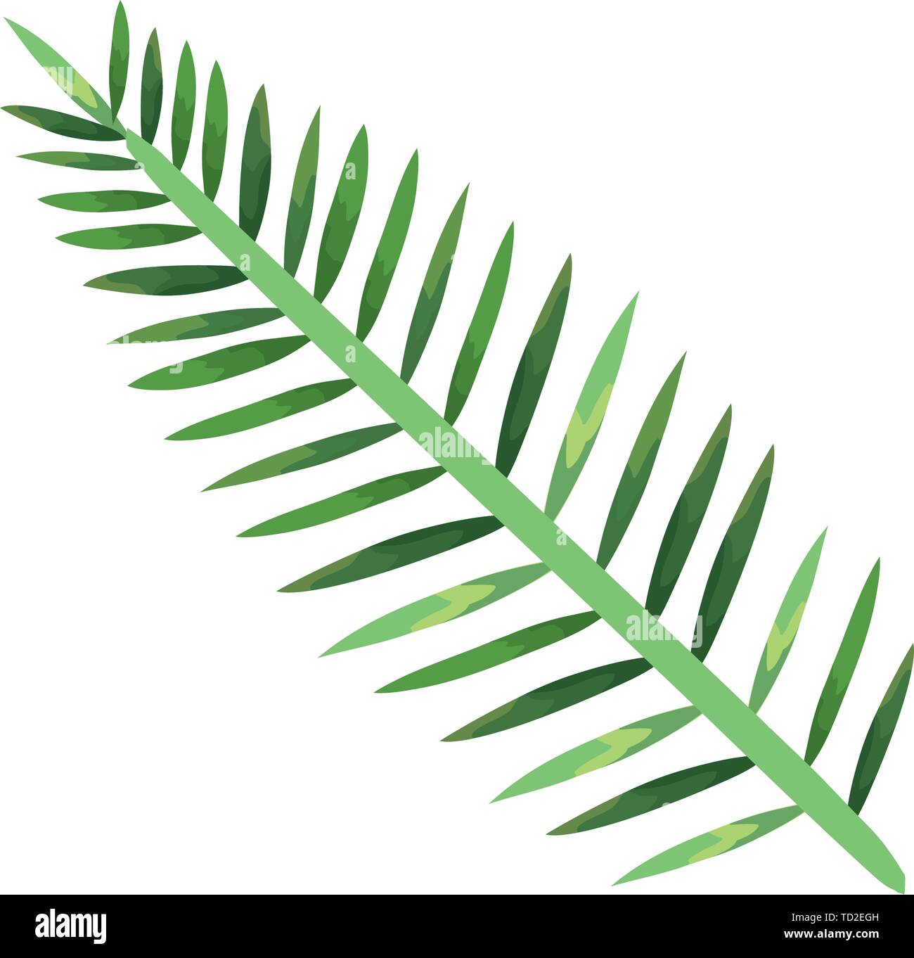exotic and tropical leaf plant Stock Vector Image & Art - Alamy