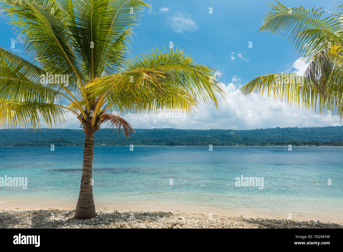 Beach with palm trees, sunny tropical Efate island, Vanuatu Stock Photo