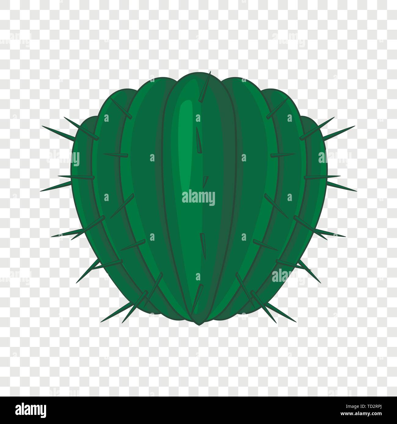 Кактус палка с колючками. Кактус с листиками. Кактус позвоночник. Кактус листовой. Игла кактуса под микроскопом.