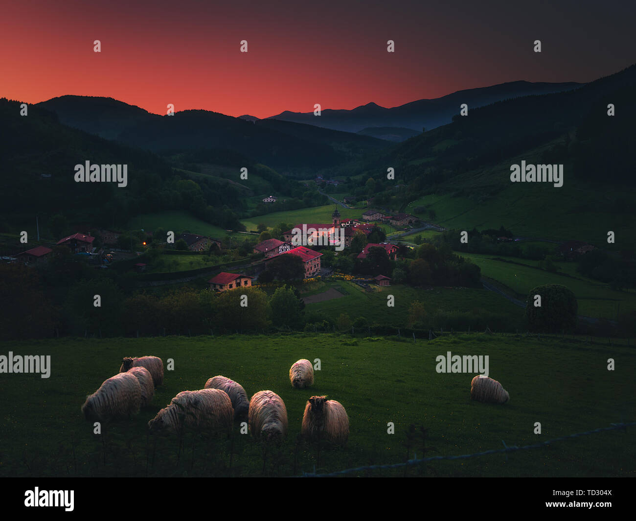 Arrazola village with sheep in Atxondo at the evening Stock Photo