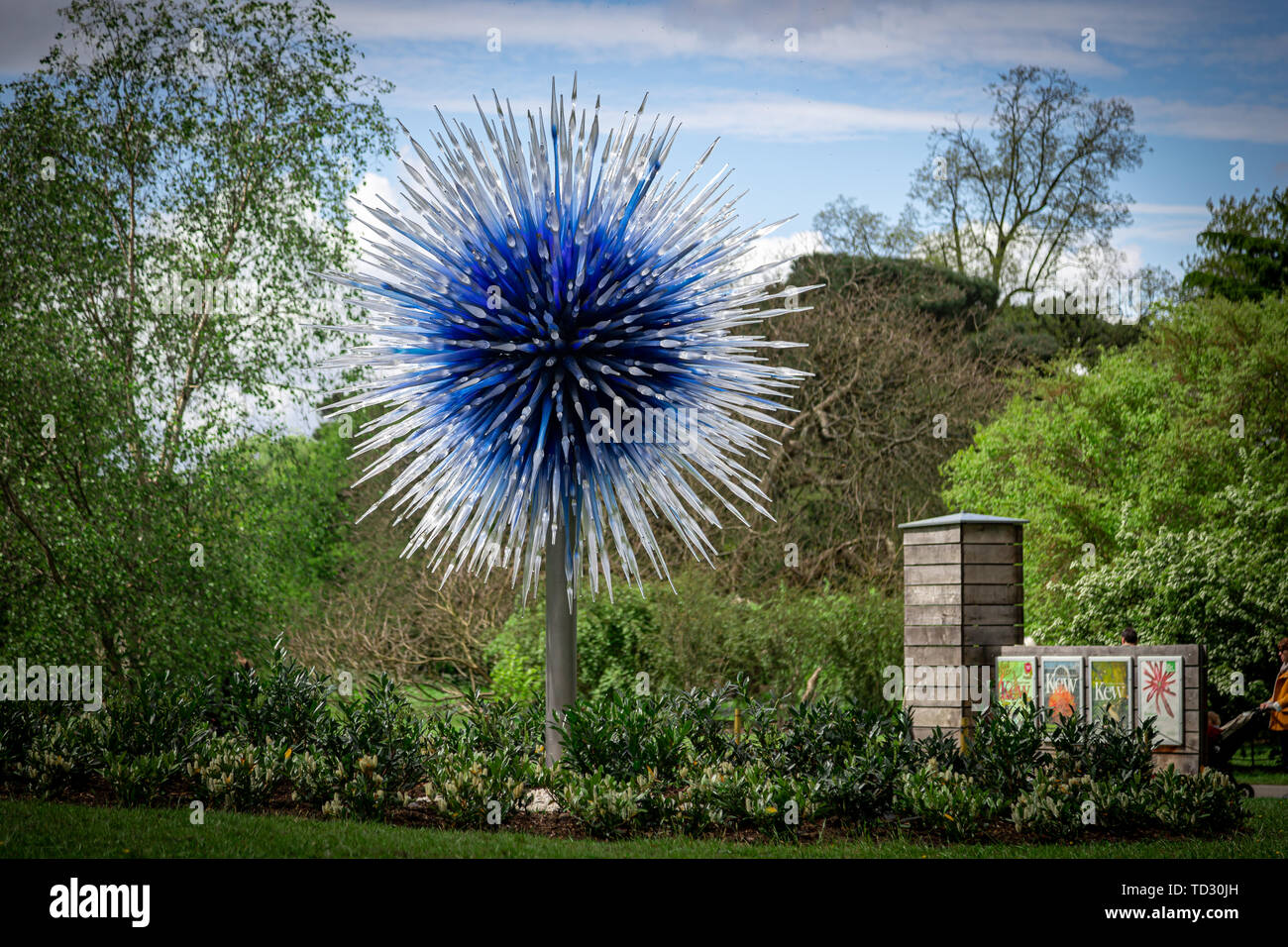 Sapphire Star by Dale Chihuly, part of a glass sculpture exhibit in Kew