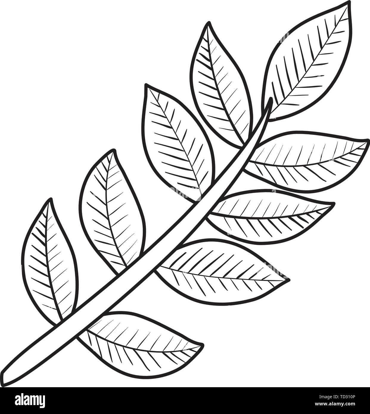 branch with leafs plants icon Stock Vector Image & Art - Alamy