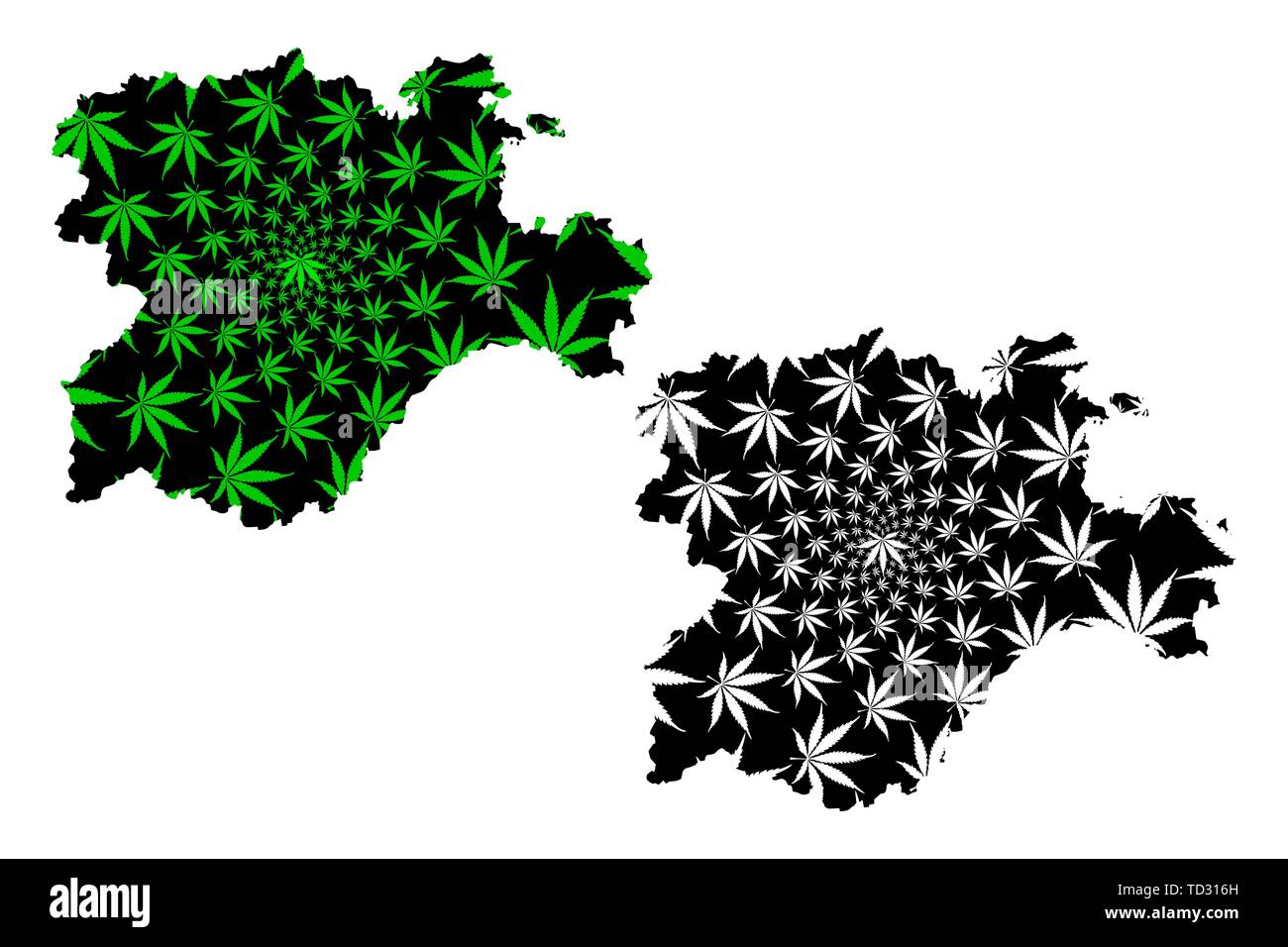 Castile and Leon (Kingdom of Spain, Autonomous community) map is designed cannabis leaf green and black, Castile-Leon map made of marijuana (marihuana Stock Vector