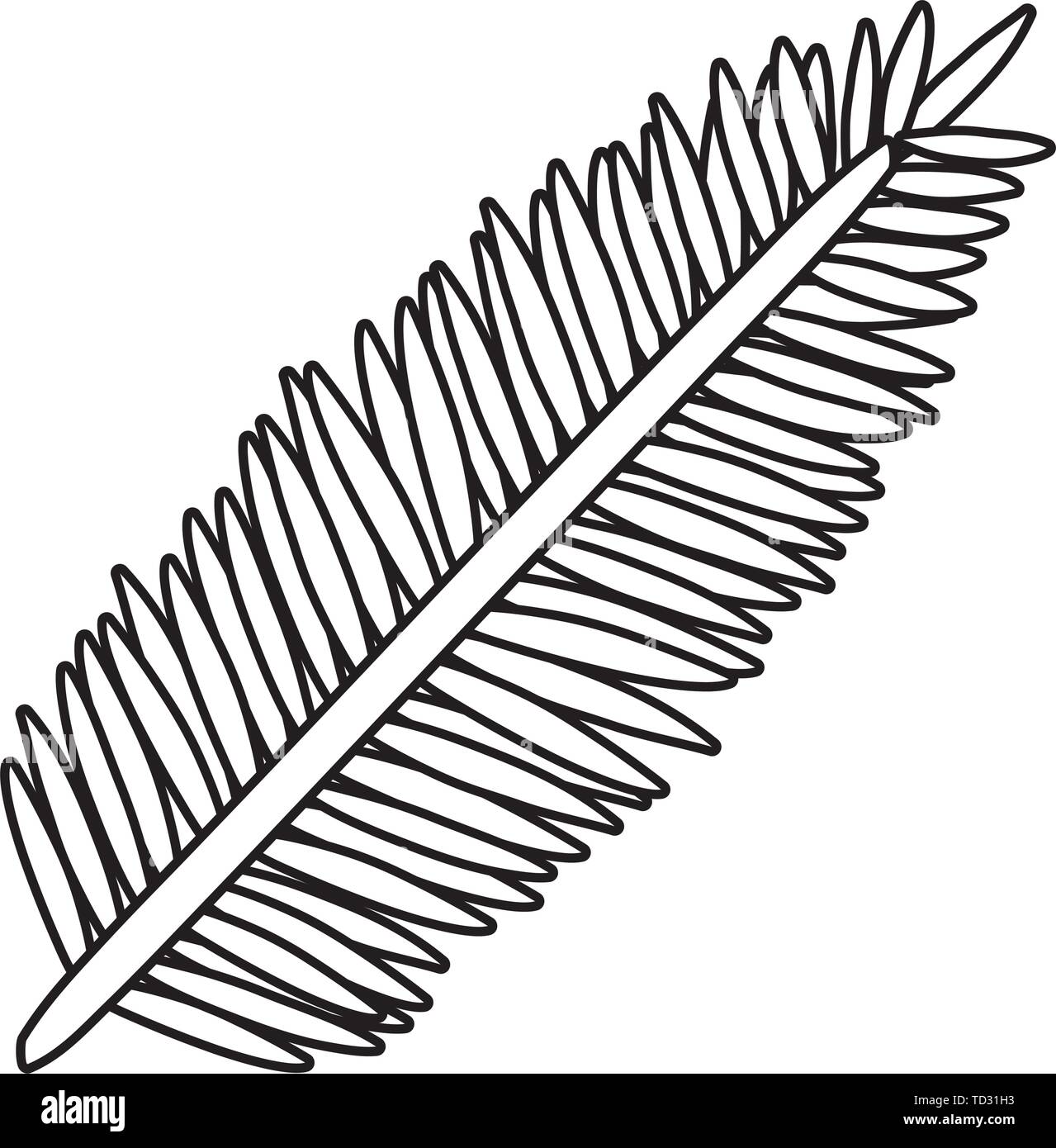 exotic and tropical leaf plant Stock Vector Image & Art - Alamy