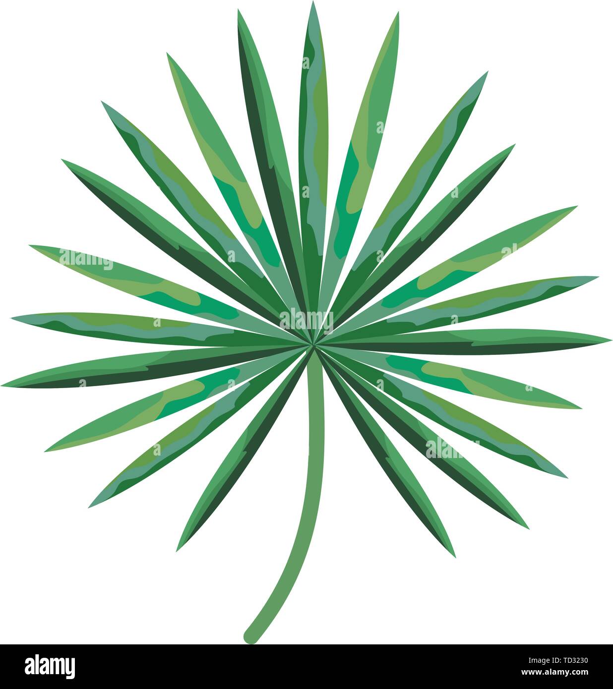 exotic and tropical leaf plant Stock Vector Image & Art - Alamy