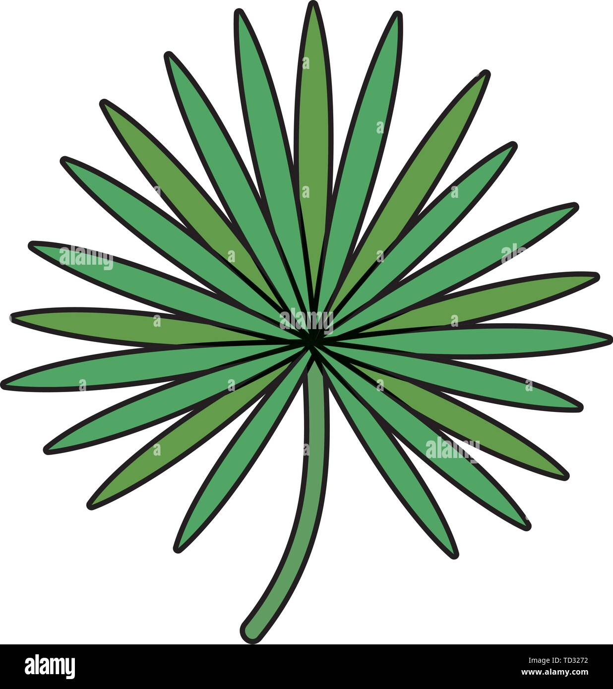 exotic and tropical leaf plant Stock Vector Image & Art - Alamy