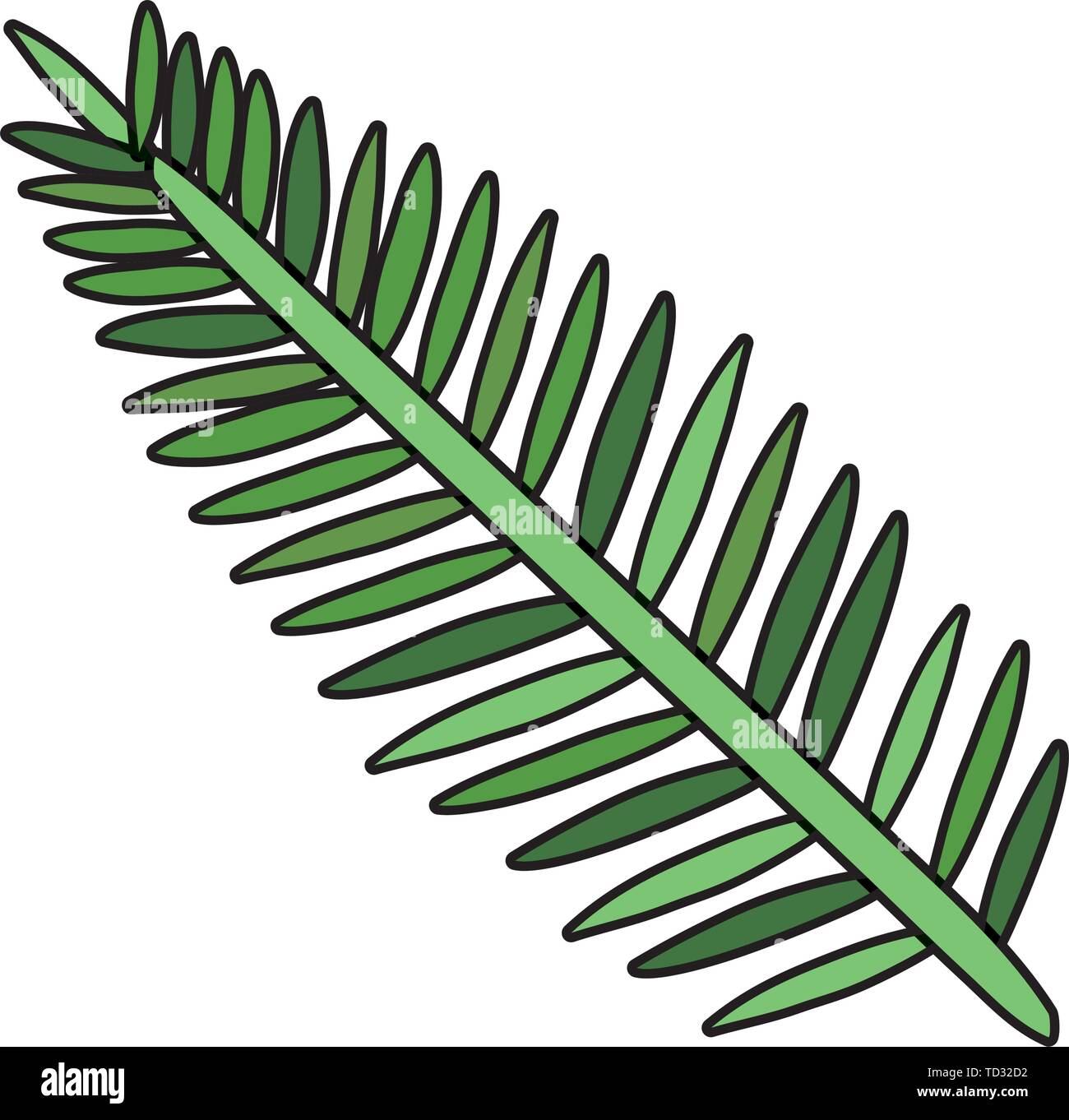 exotic and tropical leaf plant Stock Vector Image & Art - Alamy
