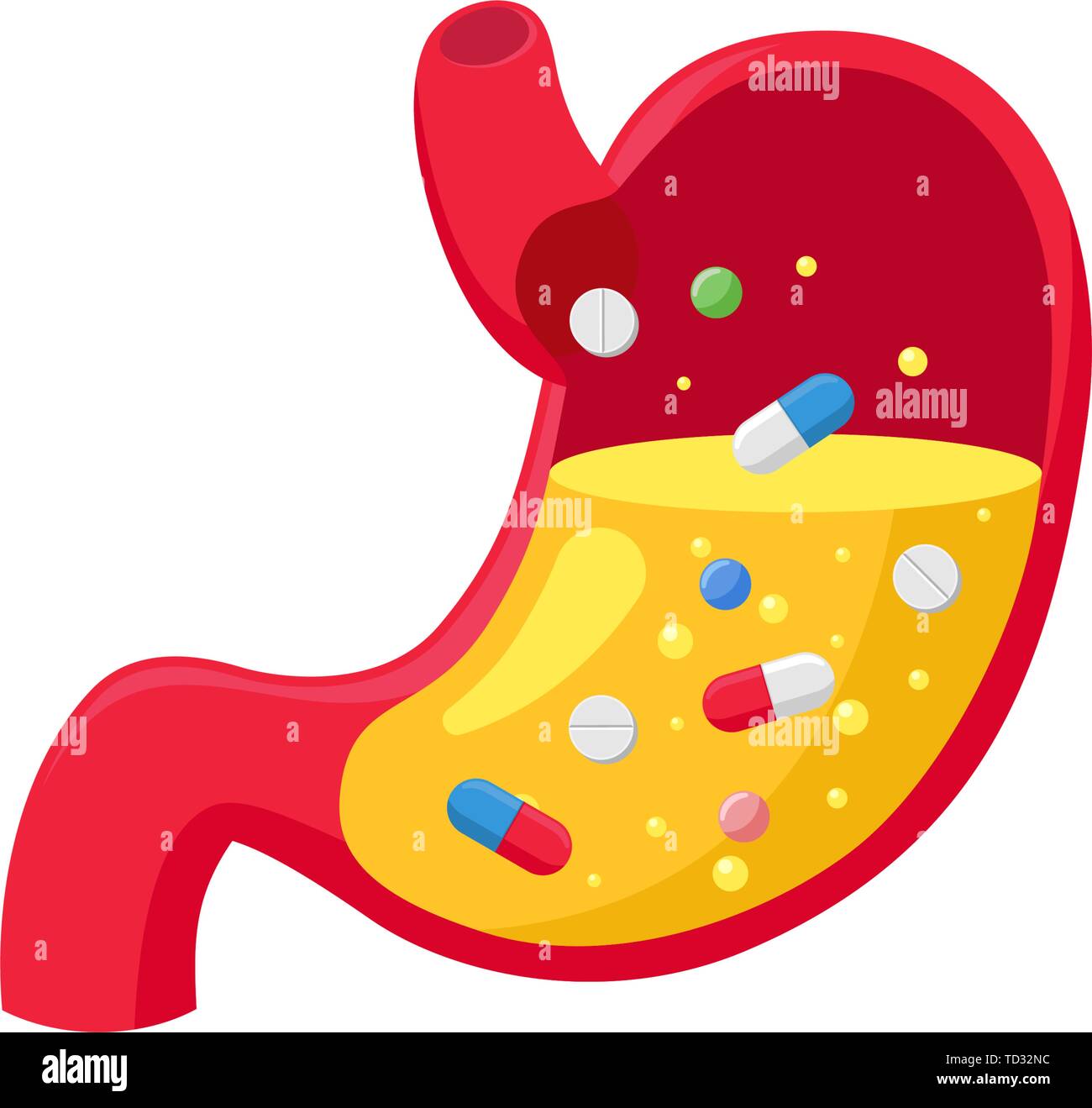Gastric juice hi-res stock photography and images - Alamy