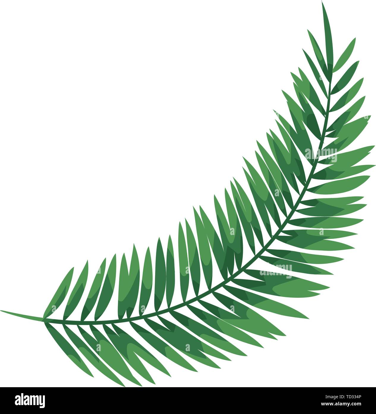 exotic leaf palm tropical icon Stock Vector Image & Art - Alamy
