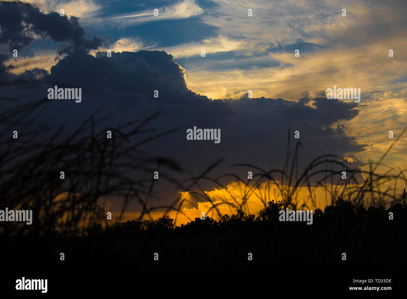 Dark clouds in the evening Stock Photo