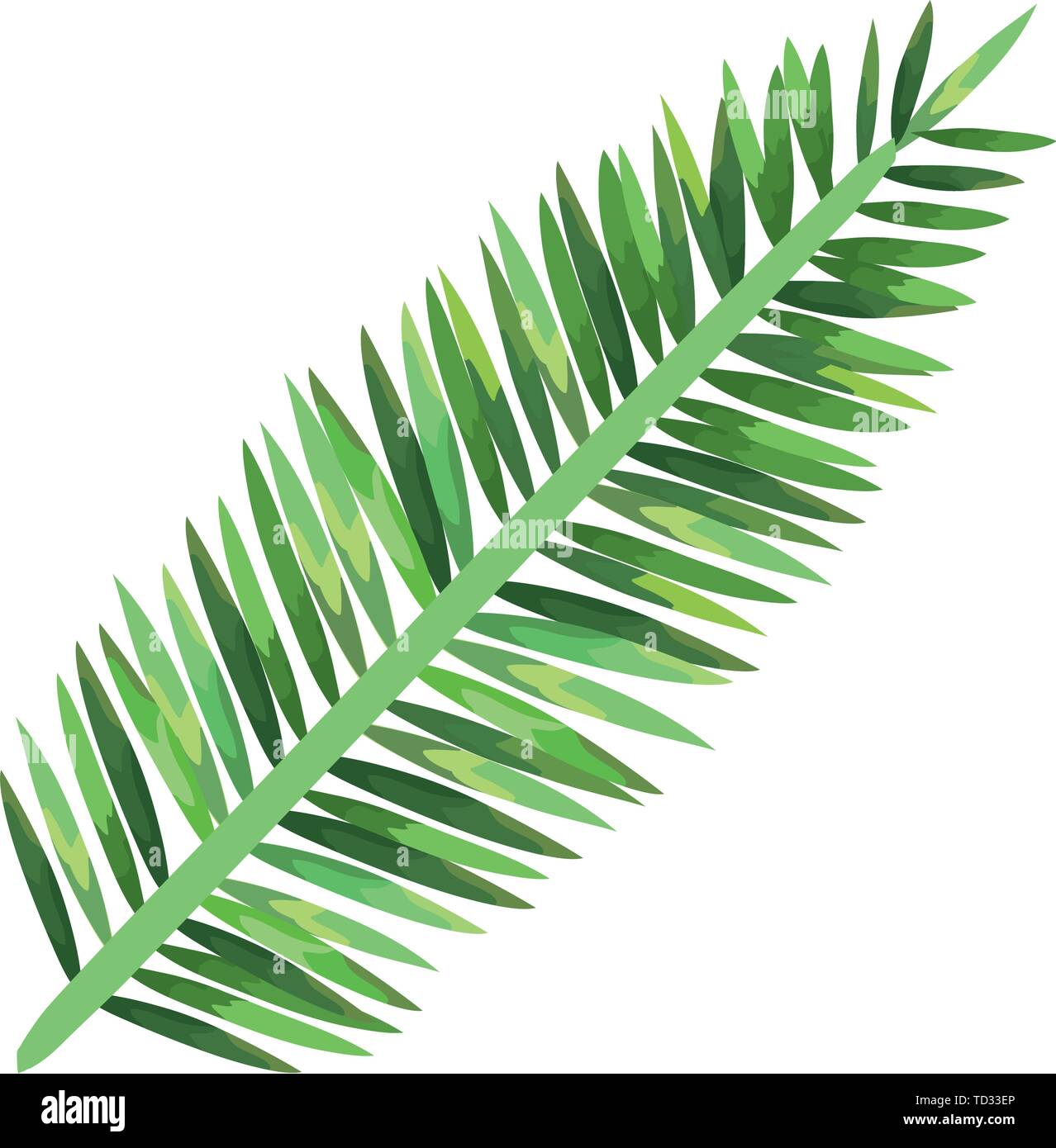 exotic and tropical leaf plant Stock Vector Image & Art - Alamy