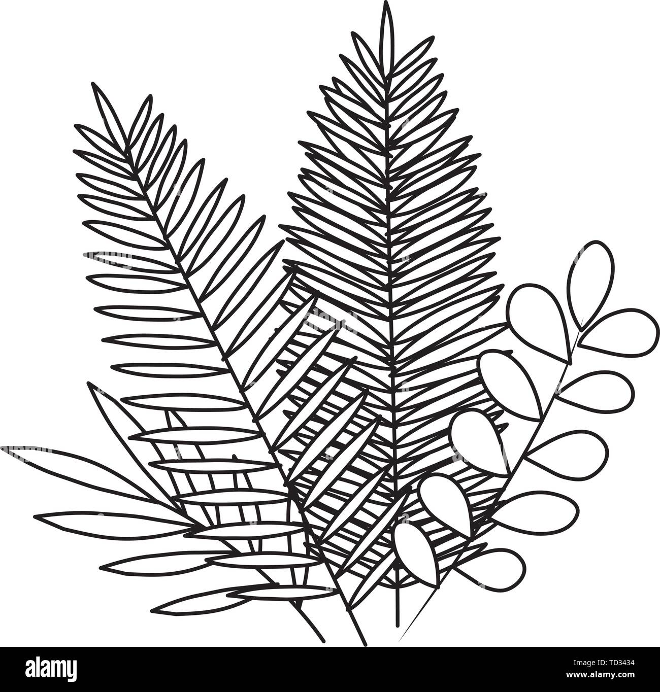 exotic and tropical leafs with branches decoration Stock Vector Image ...