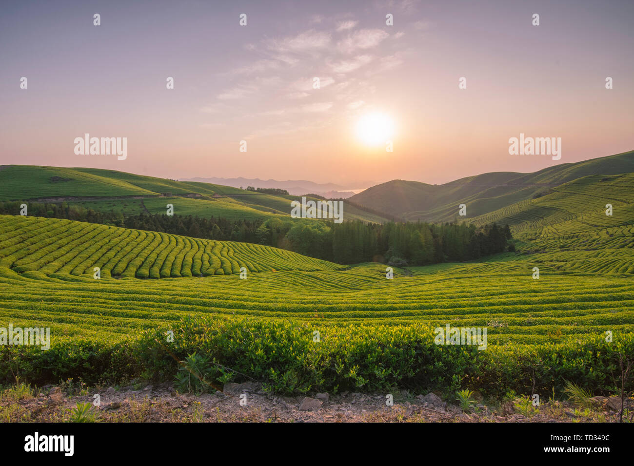 No one in agriculture and countryside with lawns hi-res stock