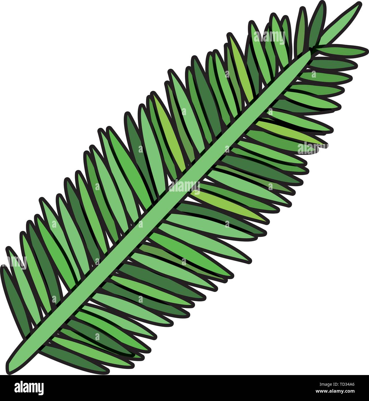 exotic and tropical leaf plant Stock Vector Image & Art - Alamy