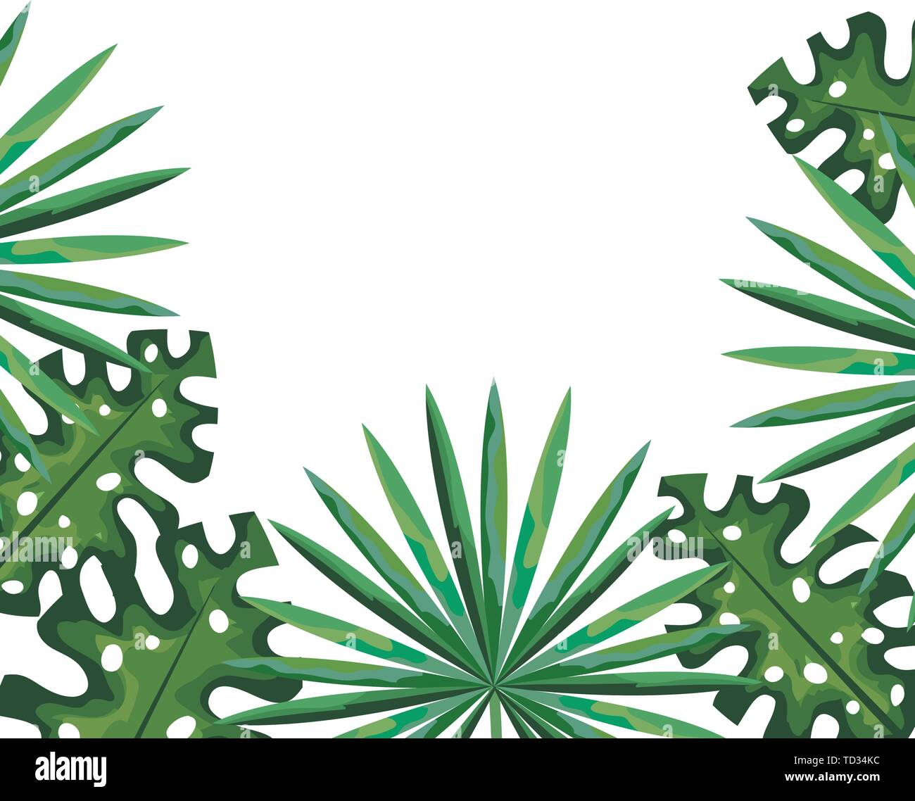 exotic and tropical leafs plant pattern Stock Vector Image & Art - Alamy