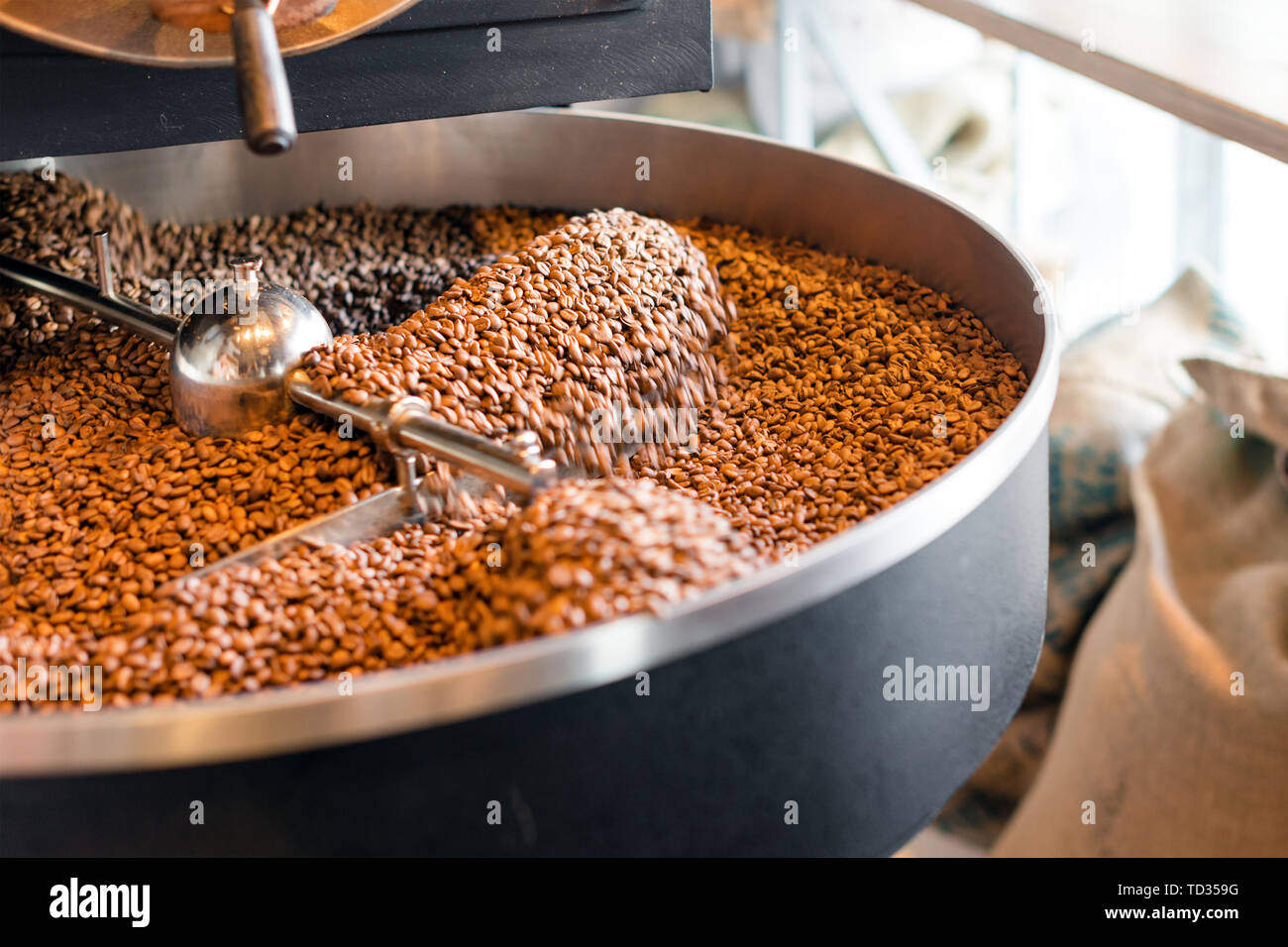 Freshly roasted coffee beans from a large roaster in the cooling