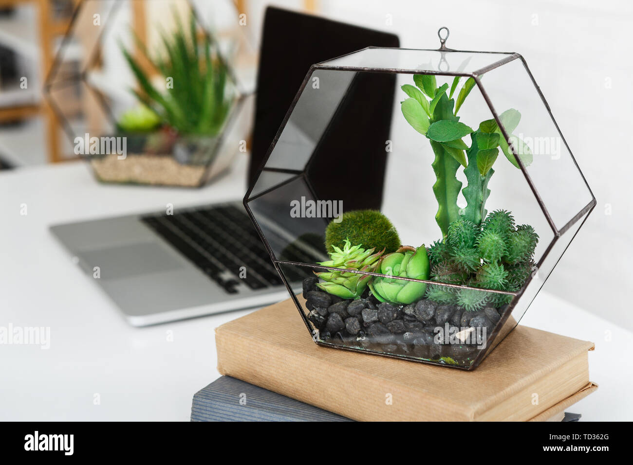 Laotop, florarium and books stack on table Stock Photo
