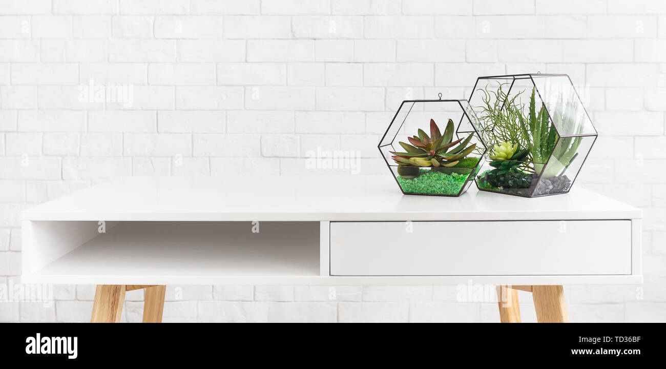 Succulent plants in two geometric florarium vases on table Stock Photo