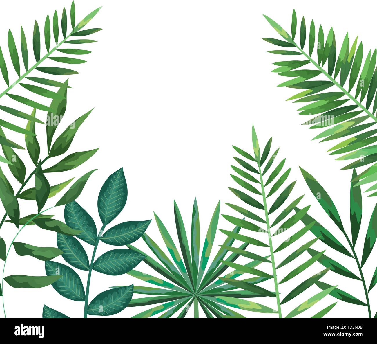 exotic and tropical leafs plant pattern Stock Vector Image & Art - Alamy