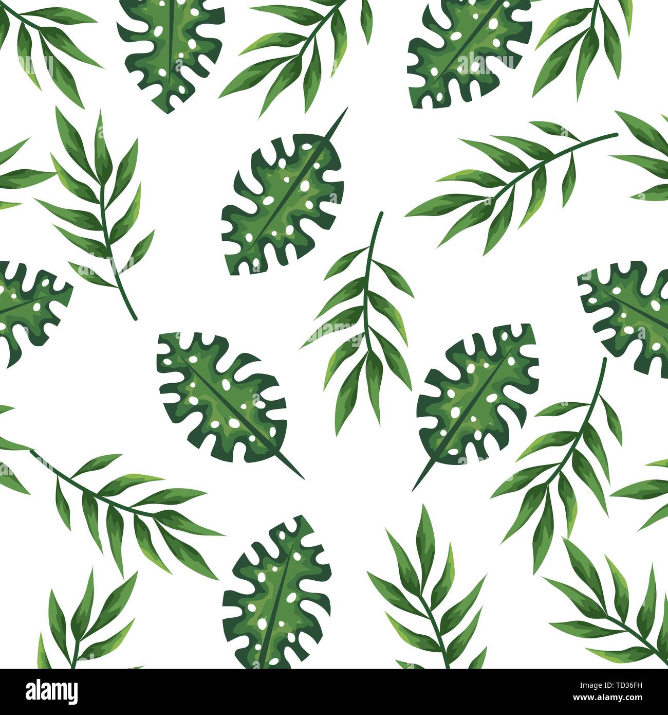 exotic and tropical leafs plant pattern Stock Vector Image & Art - Alamy