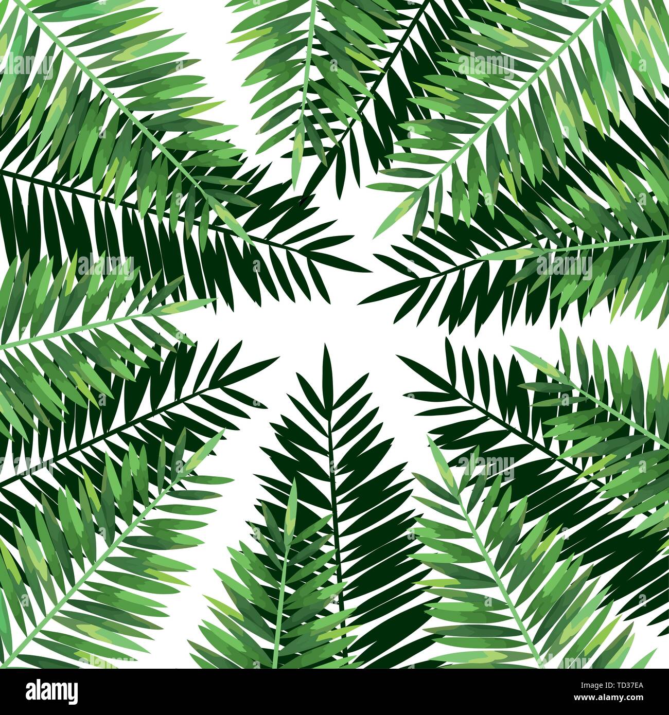 exotic and tropical leafs plant pattern Stock Vector Image & Art - Alamy