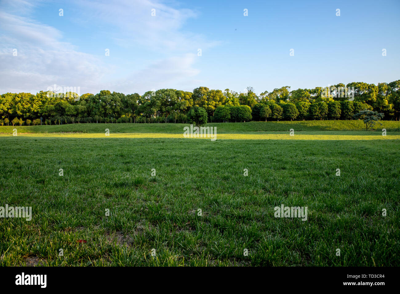 Wide green meadow under hi-res stock photography and images - Alamy