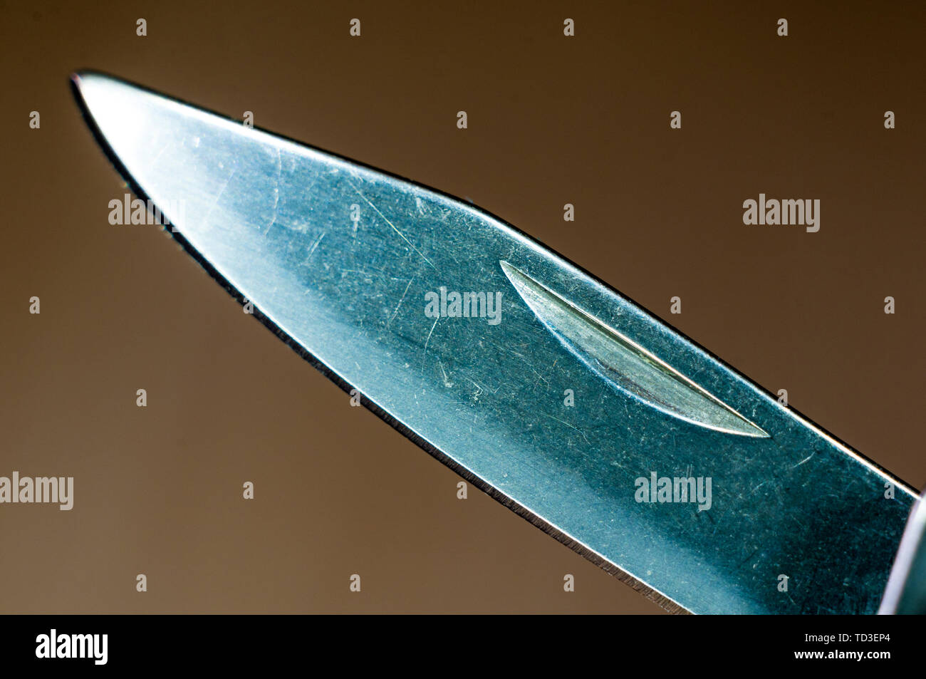 elements small foldable steel multitool, closeup, macro Stock Photo