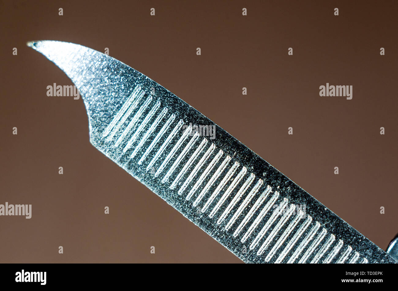 elements small foldable steel multitool, closeup, macro Stock Photo