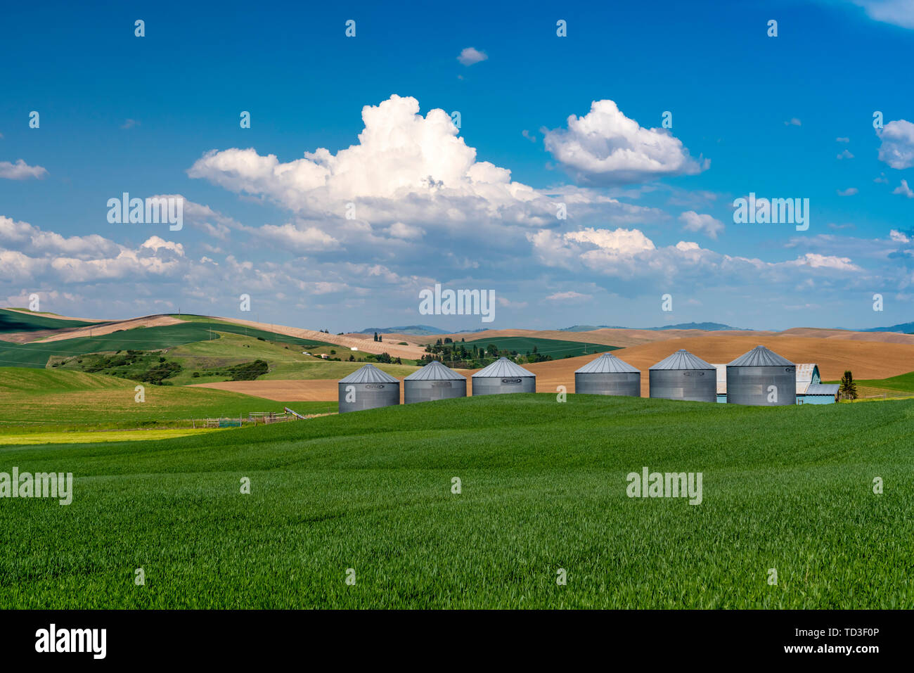 Farm grain bins in the rolling hills of the Palouse, Washington, USA