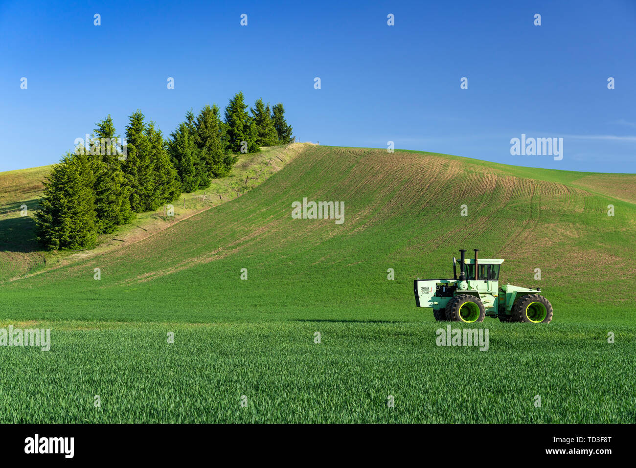Green rolling hills hi-res stock photography and images - Alamy