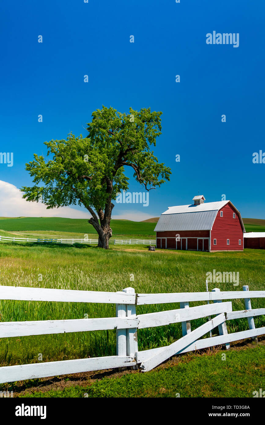 A red barn in the rolling hills of the Palouse region of Washington