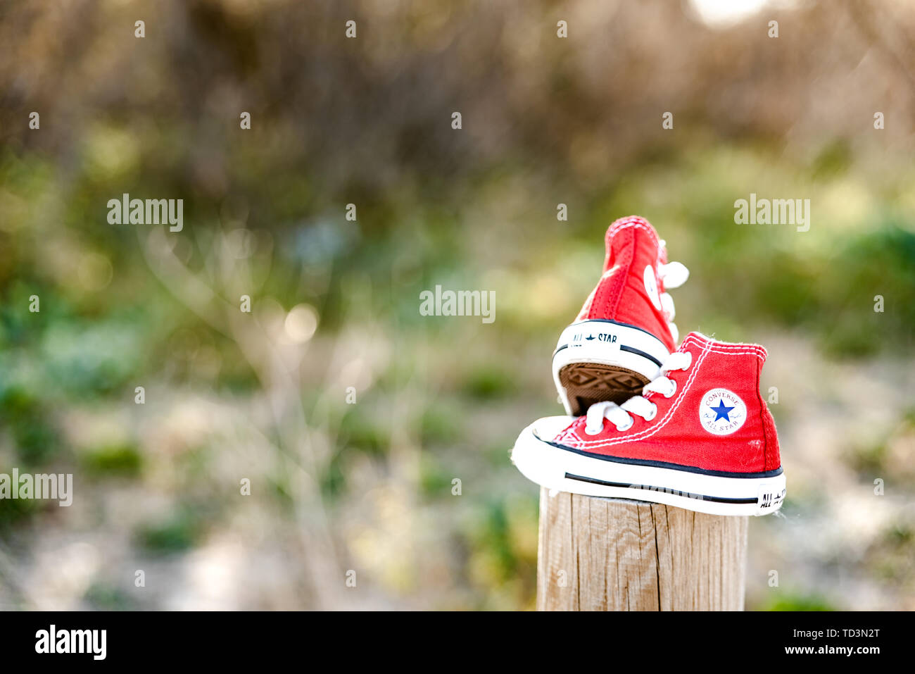 Converse Shoes Female High Resolution Stock Photography and Images - Alamy