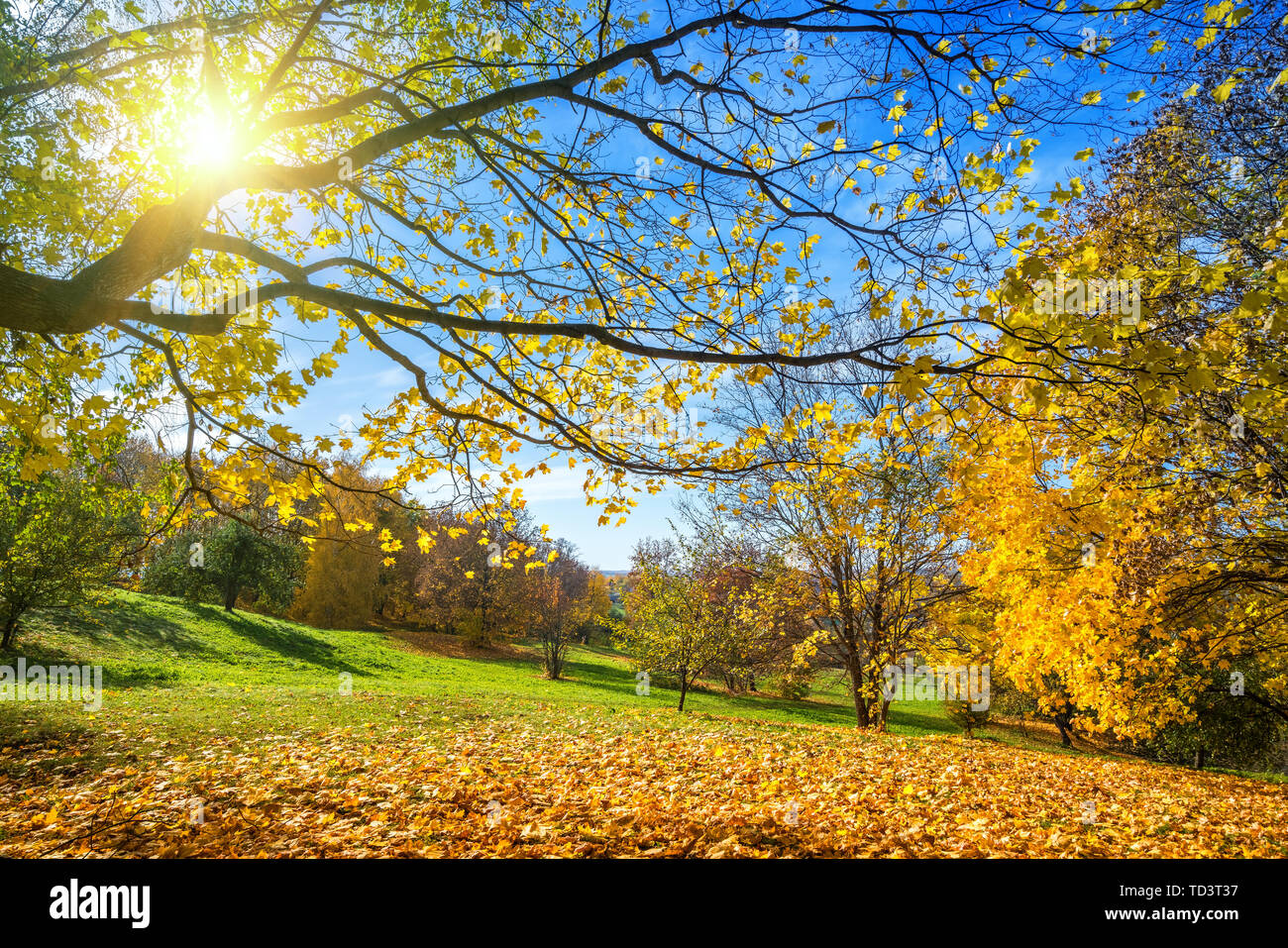 Sunny autumn in countryside Stock Photo